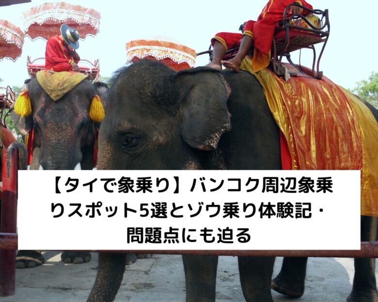 【タイで象乗り】バンコク周辺象乗りスポット5選とゾウ乗り体験記・問題点にも迫る