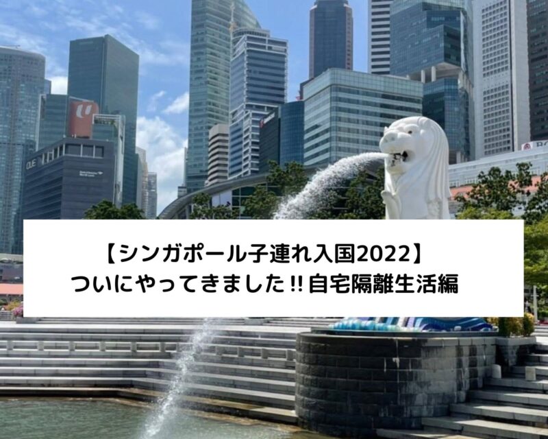 【シンガポール子連れ入国2022】ついにやってきました‼自宅隔離生活編