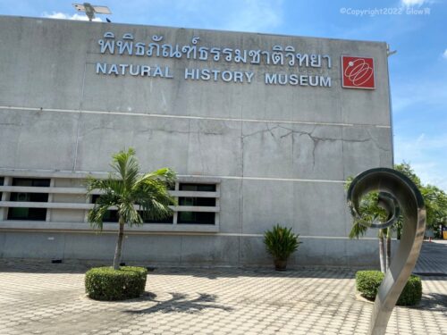 タイ自然史博物館