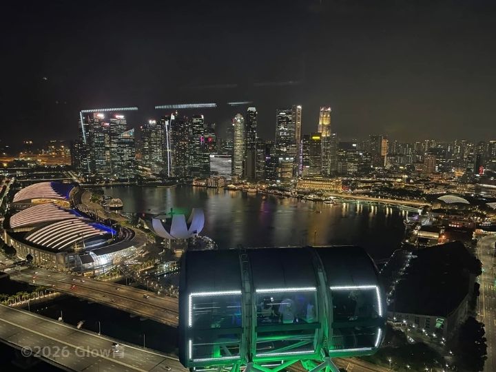 シンガポールフライヤーからの景色