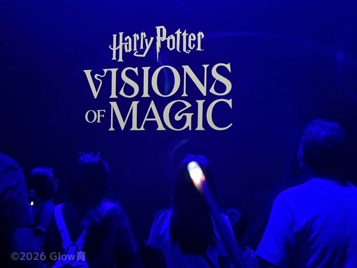 ハリー・ポッター：ビジョンズ・オブ・マジック