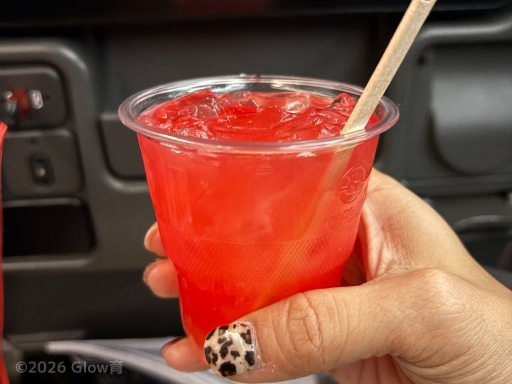 シンガポール航空で飲むシンガポールスリング