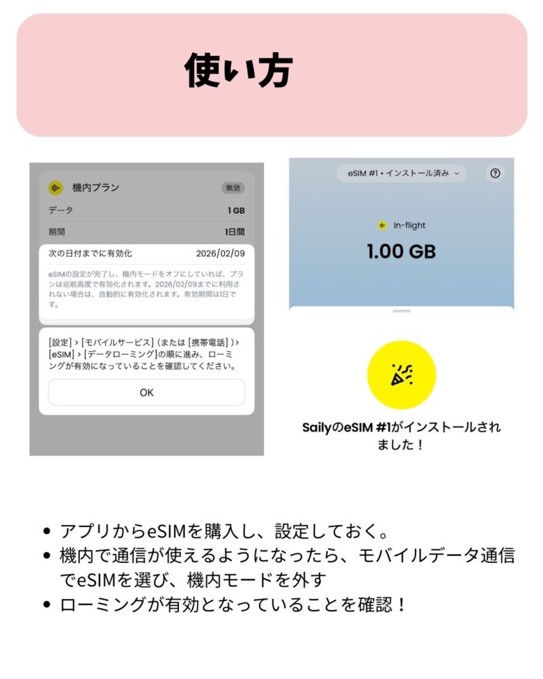 セイリ―の使い方