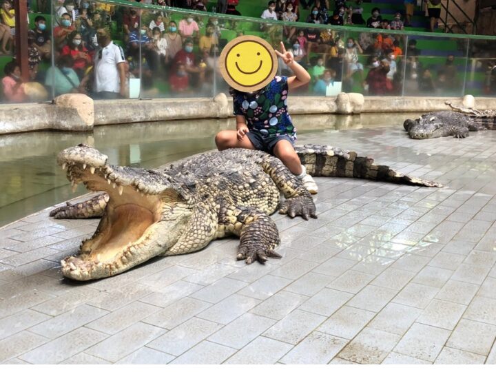 タイでワニに乗る少女
